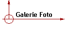 Galerie Foto